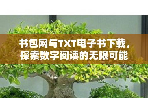 书包网与TXT电子书下载图片