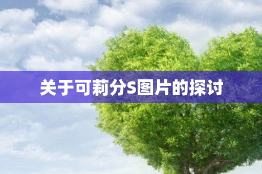 关于可莉分S图片的探讨图片