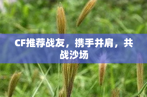CF推荐战友图片