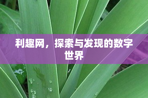 探索与发现的数字世界图片