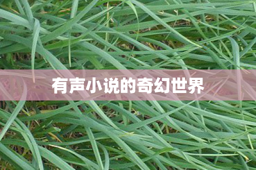 有声小说的奇幻世界图片