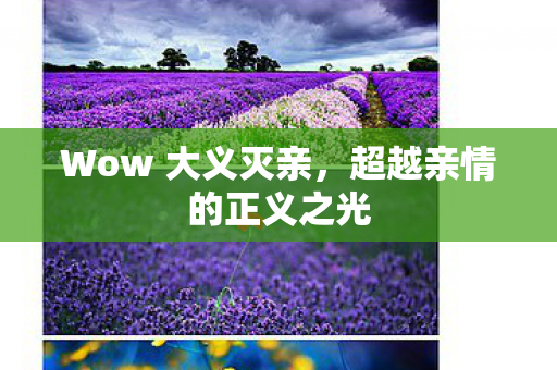 超越亲情的正义之光图片