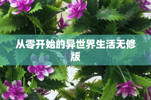 从零开始的异世界生活无修版图片