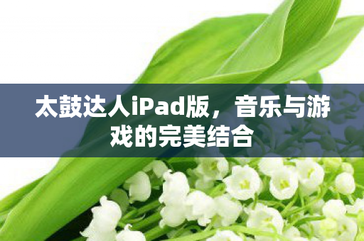 音乐与游戏的完美结合图片