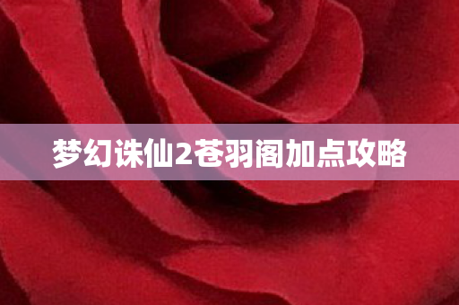 梦幻诛仙2苍羽阁加点攻略图片