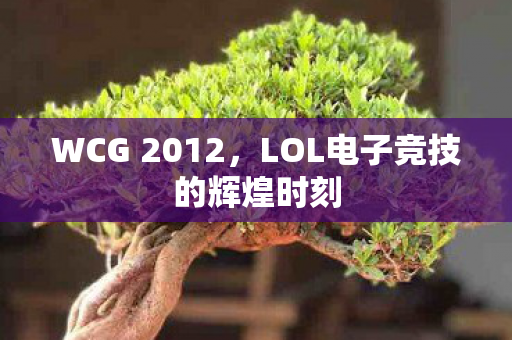 LOL电子竞技的辉煌时刻图片
