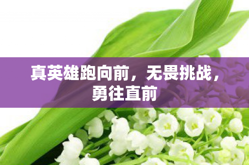 真英雄跑向前图片