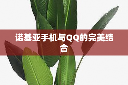 诺基亚手机与QQ的完美结合图片