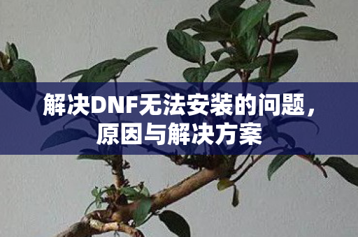 解决DNF无法安装的问题图片