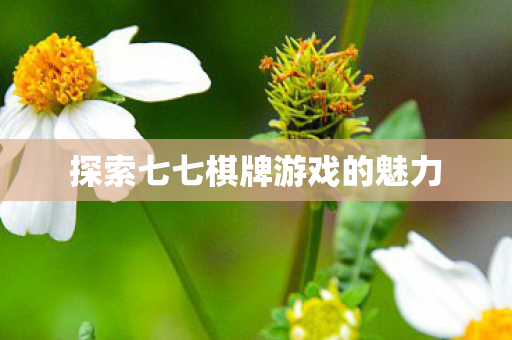 探索七七棋牌游戏的魅力图片