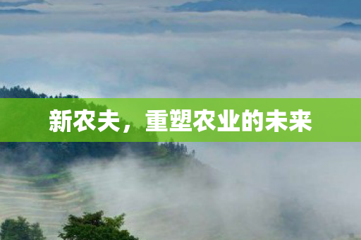 重塑农业的未来图片