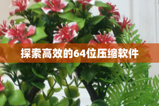 探索高效的64位压缩软件图片