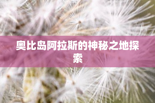 奥比岛阿拉斯的神秘之地探索图片