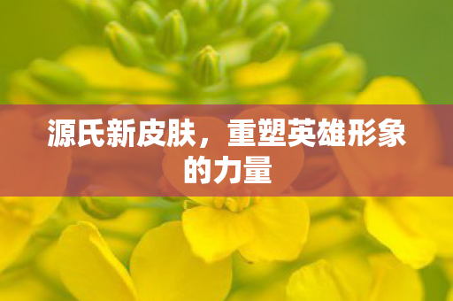 重塑英雄形象的力量图片