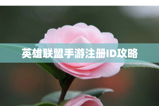 英雄联盟手游注册ID攻略图片