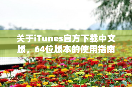 关于iTunes官方下载中文版图片