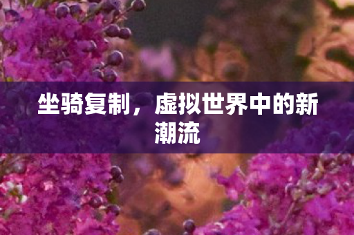 虚拟世界中的新潮流图片