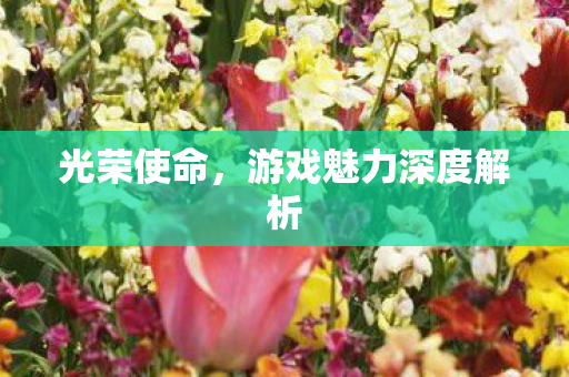 游戏魅力深度解析图片