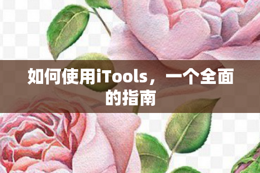 如何使用iTools图片