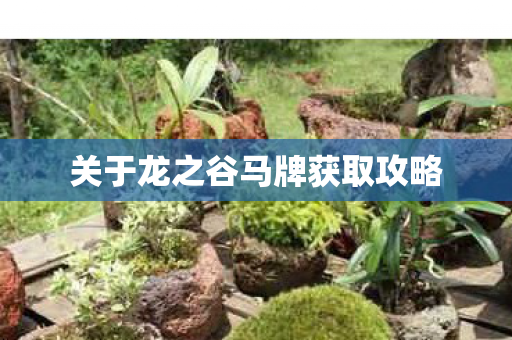 关于龙之谷马牌获取攻略图片