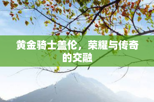 荣耀与传奇的交融图片