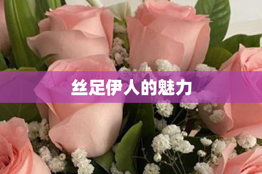 丝足伊人的魅力图片