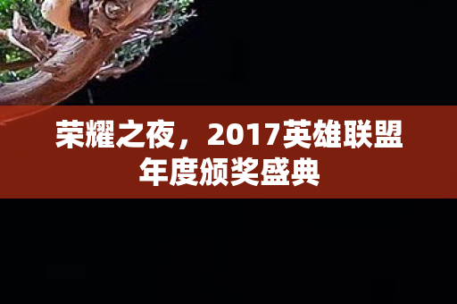 2017英雄联盟年度颁奖盛典图片