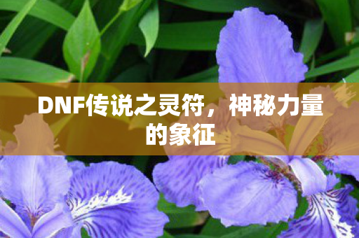 DNF传说之灵符图片