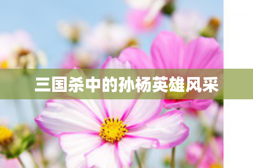 三国杀中的孙杨英雄风采图片