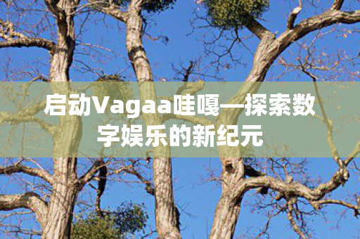 探索数字娱乐的新纪元图片