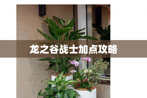 龙之谷战士加点攻略图片