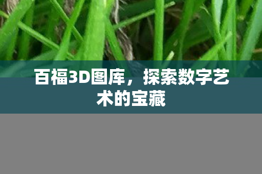 探索数字艺术的宝藏图片