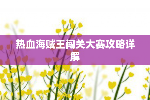 热血海贼王闯关大赛攻略详解图片