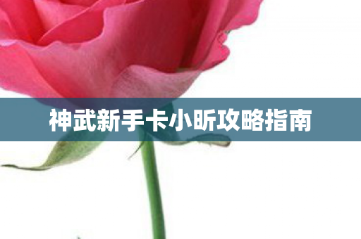 神武新手卡小昕攻略指南图片
