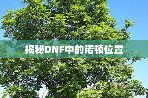 揭秘DNF中的诺顿位置图片