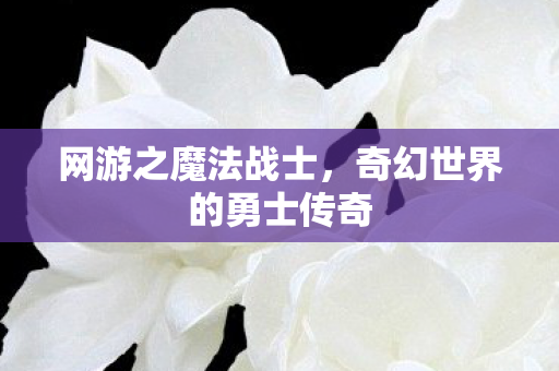 奇幻世界的勇士传奇图片