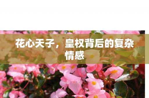 皇权背后的复杂情感图片