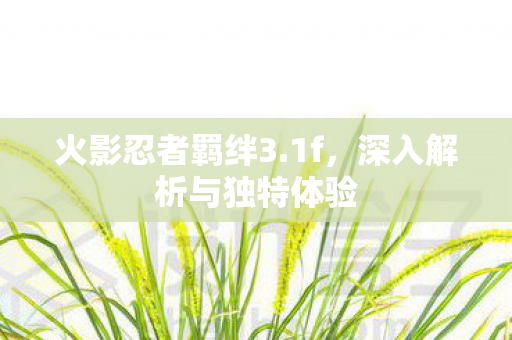 深入解析与独特体验图片