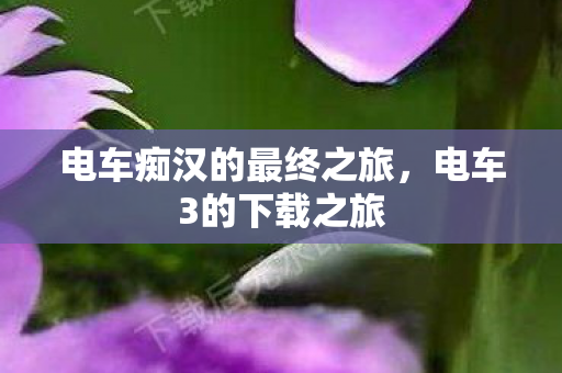 电车痴汉的最终之旅图片