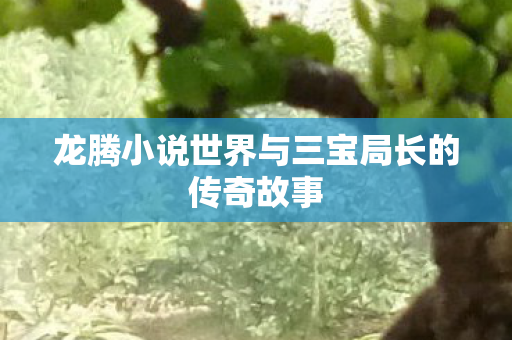 龙腾小说世界与三宝局长的传奇故事图片