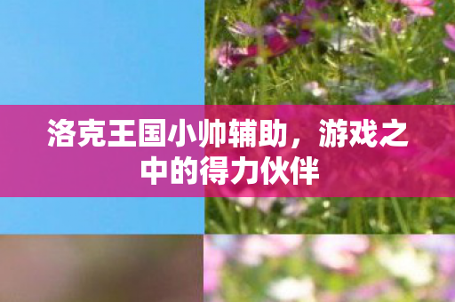 游戏之中的得力伙伴图片