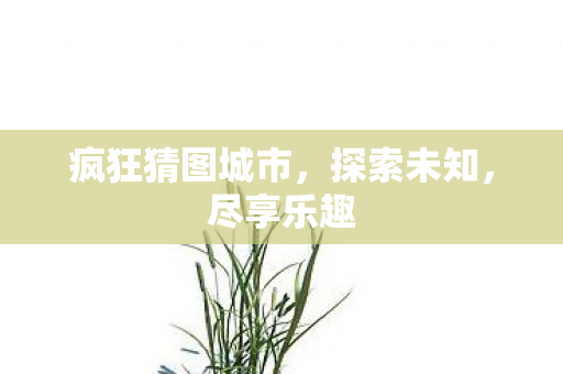 疯狂猜图城市图片