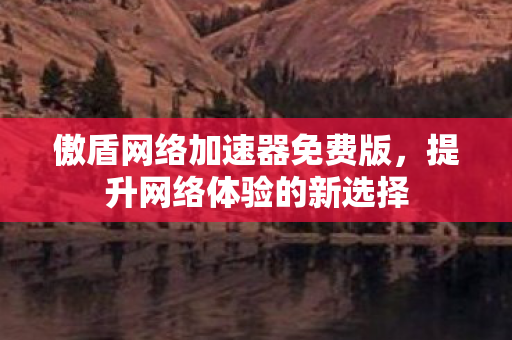 傲盾网络加速器免费版图片