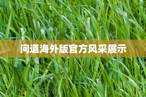 问道海外版官方风采展示图片