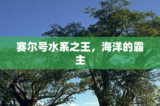 赛尔号水系之王图片