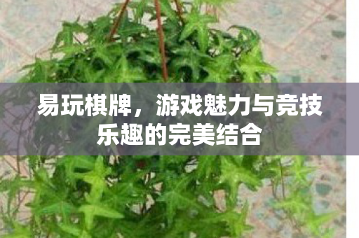 游戏魅力与竞技乐趣的完美结合图片
