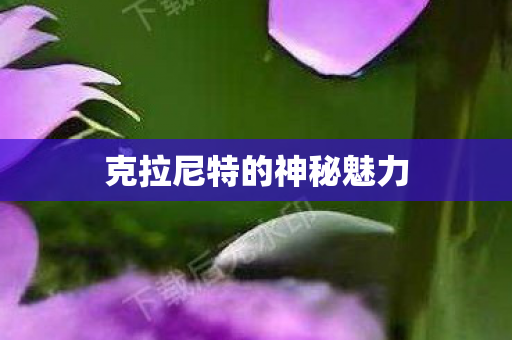 克拉尼特的神秘魅力图片