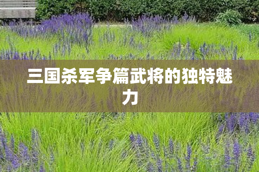三国杀军争篇武将的独特魅力图片