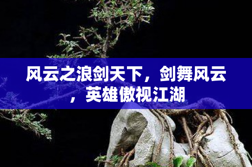 风云之浪剑天下图片