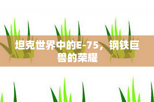 坦克世界中的E图片